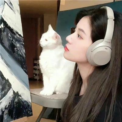 猫汤 封面